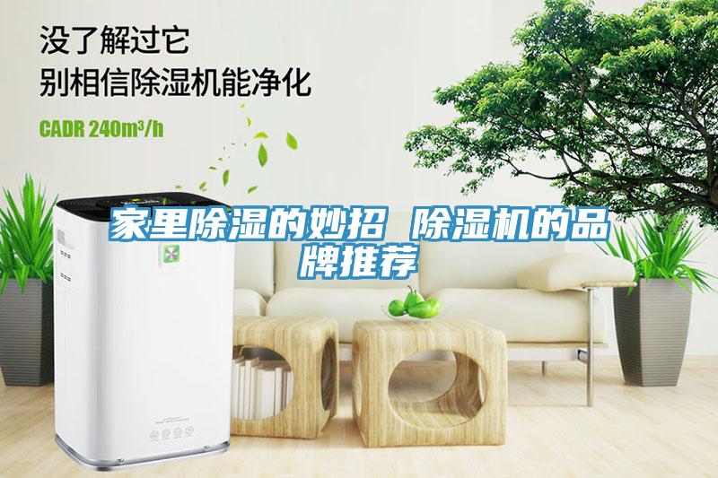 家里除濕的妙招 除濕機的品牌推薦