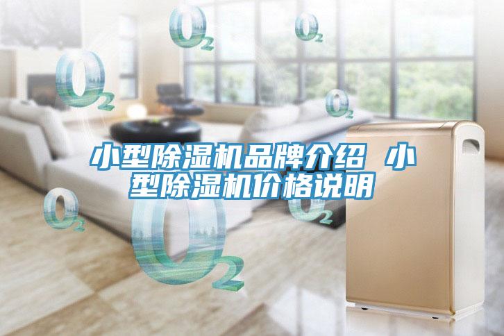 小型除濕機(jī)品牌介紹 小型除濕機(jī)價(jià)格說(shuō)明