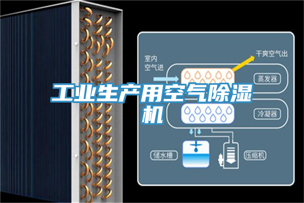 工業(yè)生產用空氣除濕機