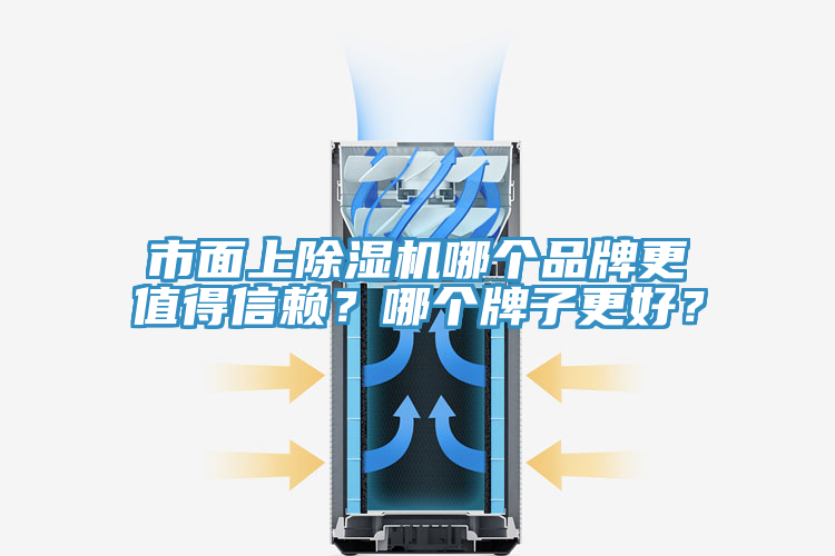 市面上除濕機哪個品牌更值得信賴？哪個牌子更好？