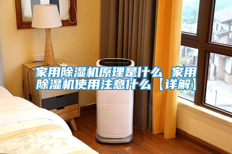 家用除濕機原理是什么 家用除濕機使用注意什么【詳解】