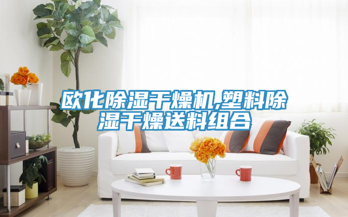 歐化除濕干燥機(jī),塑料除濕干燥送料組合