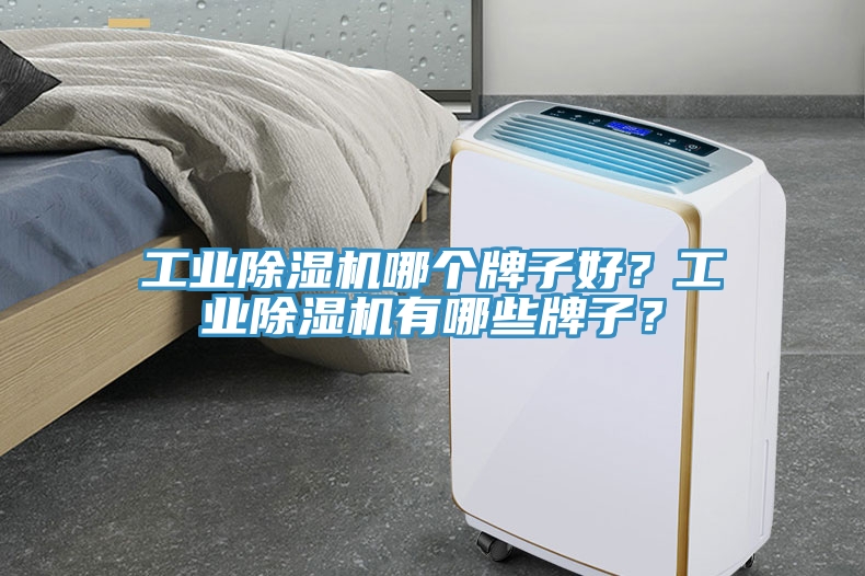 工業(yè)除濕機(jī)哪個(gè)牌子好？工業(yè)除濕機(jī)有哪些牌子？