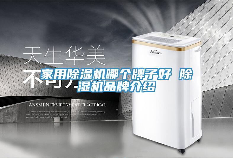 家用除濕機(jī)哪個(gè)牌子好 除濕機(jī)品牌介紹