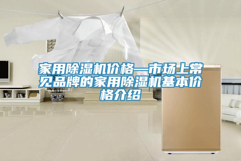 家用除濕機(jī)價(jià)格—市場(chǎng)上常見品牌的家用除濕機(jī)基本價(jià)格介紹