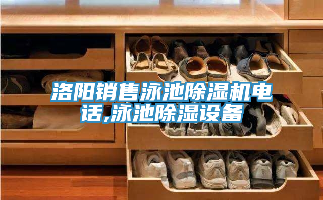 洛陽銷售泳池除濕機電話,泳池除濕設(shè)備