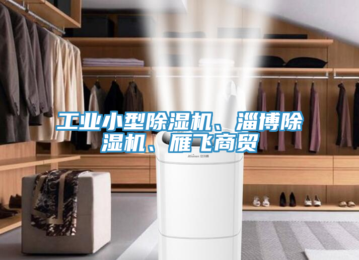 工業(yè)小型除濕機(jī)、淄博除濕機(jī)、雁飛商貿(mào)