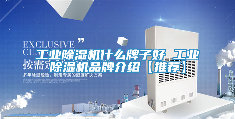 工業(yè)除濕機(jī)什么牌子好 工業(yè)除濕機(jī)品牌介紹【推薦】