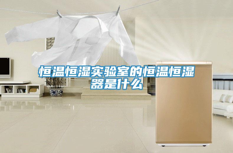 恒溫恒濕實(shí)驗(yàn)室的恒溫恒濕器是什么