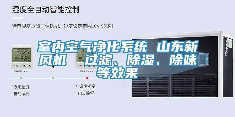 室內(nèi)空氣凈化系統(tǒng) 山東新風(fēng)機(jī)  過濾、除濕、除味等效果