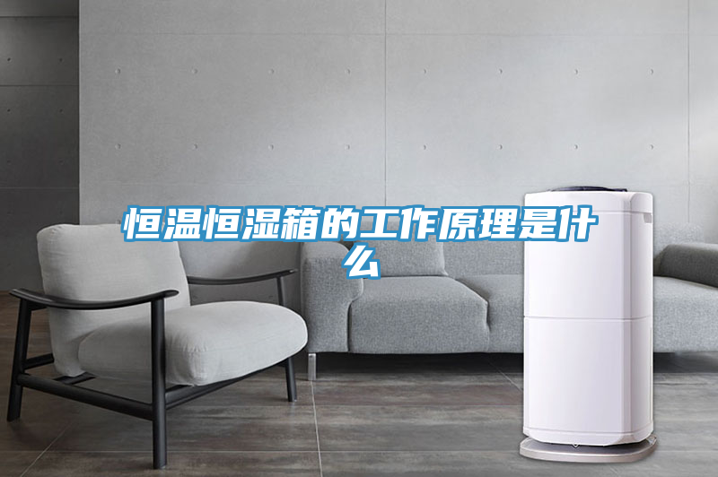 恒溫恒濕箱的工作原理是什么