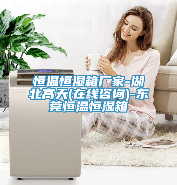 恒溫恒濕箱廠家-湖北高天(在線咨詢)-東莞恒溫恒濕箱