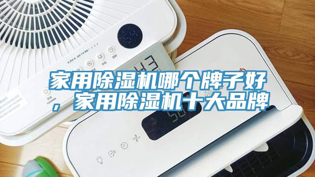 家用除濕機(jī)哪個(gè)牌子好，家用除濕機(jī)十大品牌