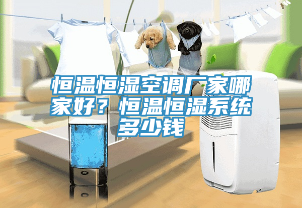 恒溫恒濕空調(diào)廠家哪家好？恒溫恒濕系統(tǒng)多少錢