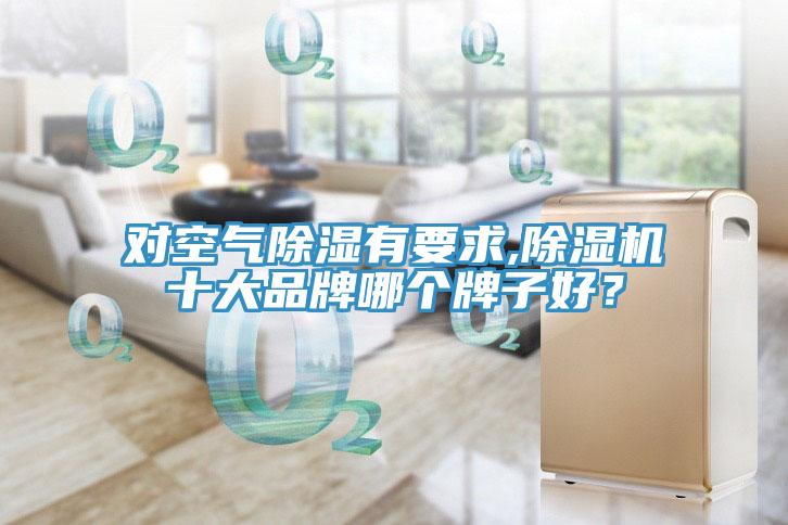 對空氣除濕有要求,除濕機十大品牌哪個牌子好？