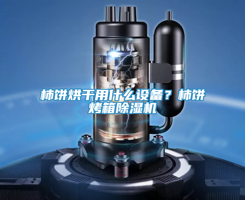 柿餅烘干用什么設(shè)備？柿餅烤箱除濕機(jī)