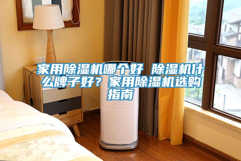 家用除濕機哪個好 除濕機什么牌子好？家用除濕機選購指南