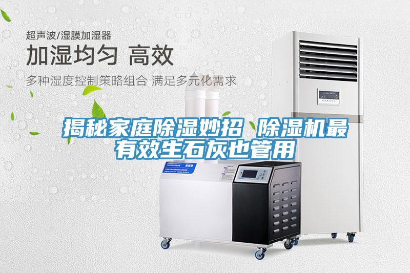 揭秘家庭除濕妙招 除濕機(jī)最有效生石灰也管用