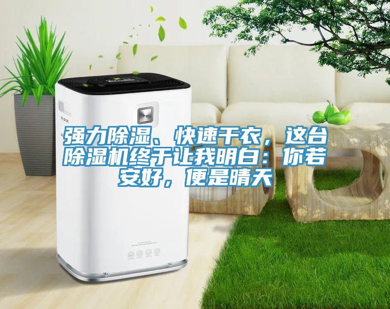 強(qiáng)力除濕、快速干衣，這臺(tái)除濕機(jī)終于讓我明白：你若安好，便是晴天