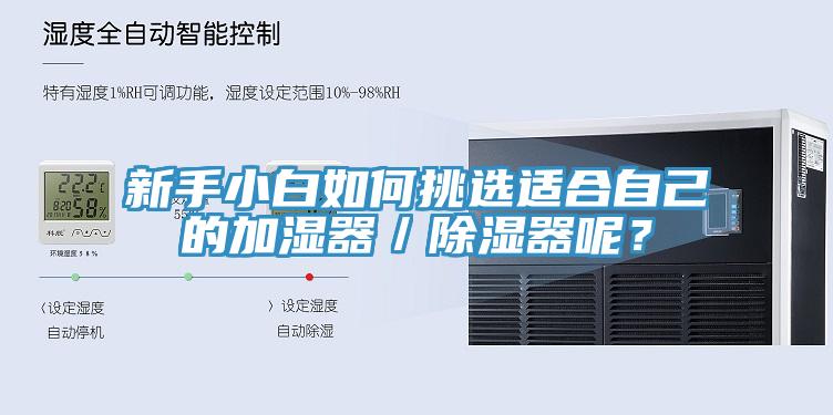 新手小白如何挑選適合自己的加濕器／除濕器呢？