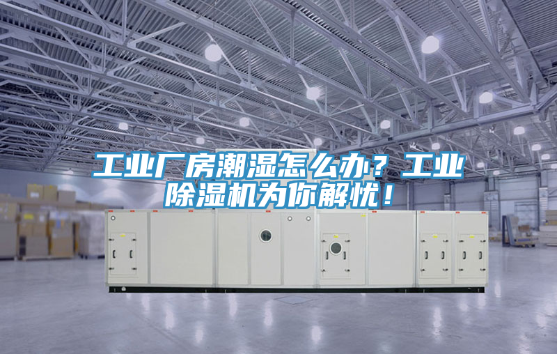 工業(yè)廠房潮濕怎么辦？工業(yè)除濕機為你解憂！