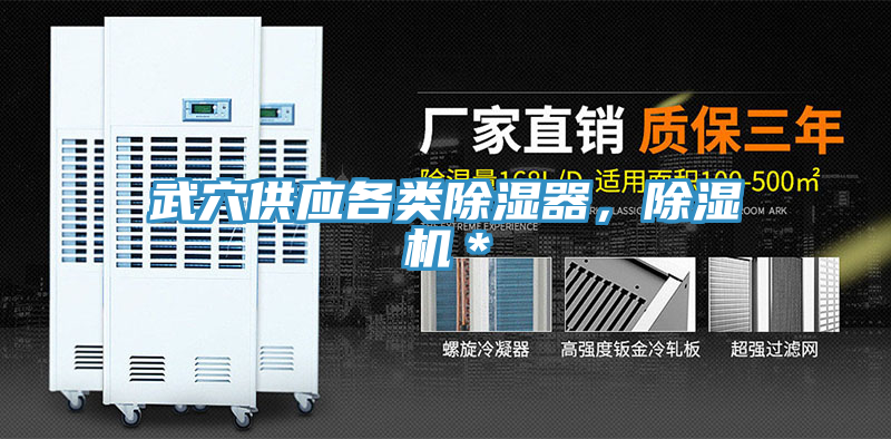 武穴供應(yīng)各類除濕器，除濕機(jī)＊