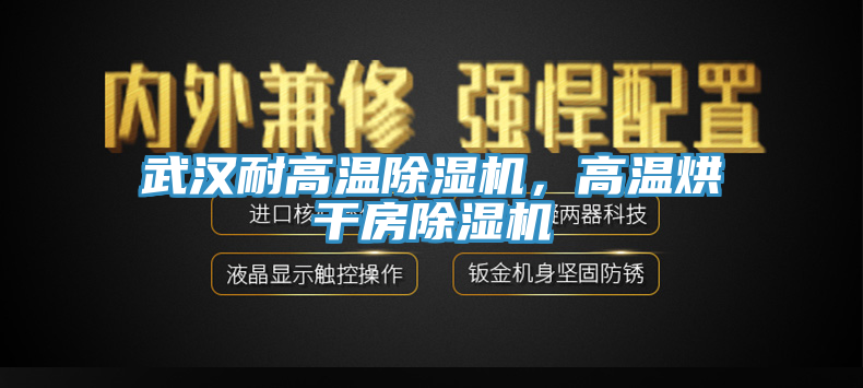 武漢耐高溫除濕機(jī)，高溫烘干房除濕機(jī)