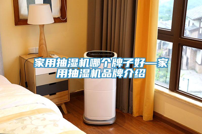 家用抽濕機(jī)哪個(gè)牌子好—家用抽濕機(jī)品牌介紹