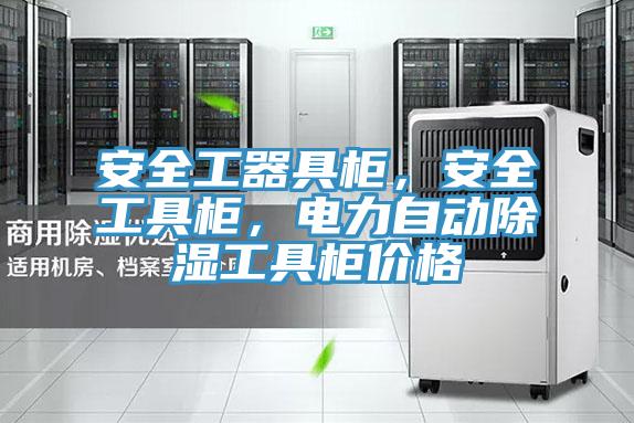 安全工器具柜，安全工具柜，電力自動(dòng)除濕工具柜價(jià)格