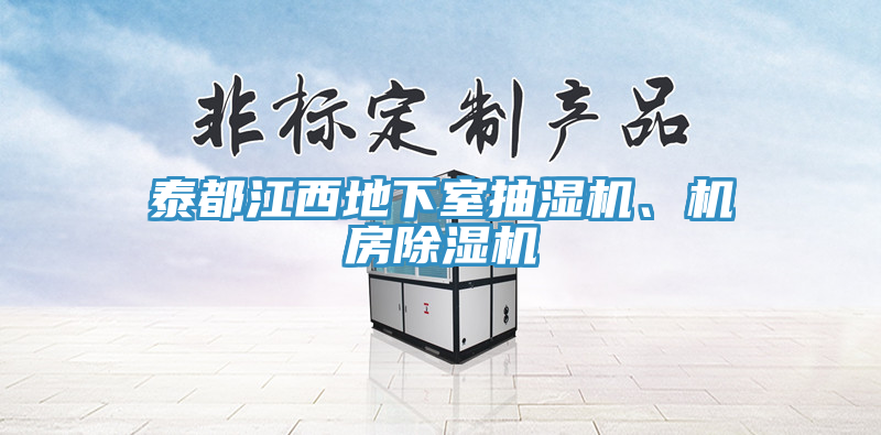 泰都江西地下室抽濕機(jī)、機(jī)房除濕機(jī)