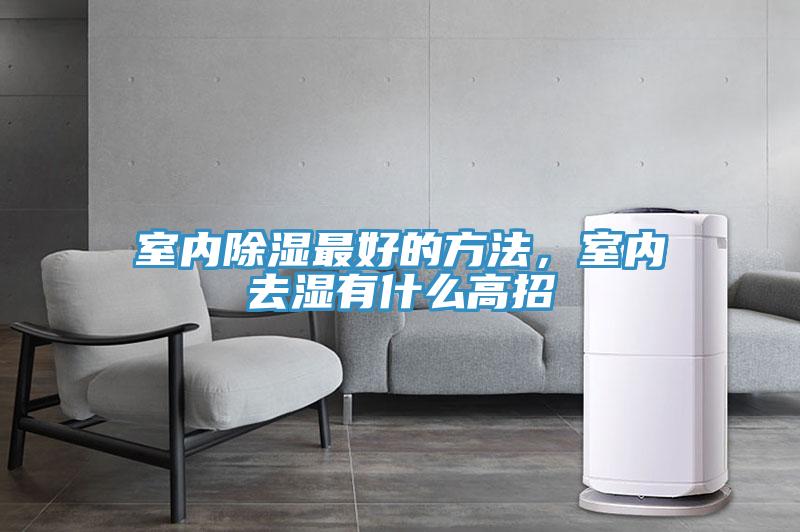 室內(nèi)除濕最好的方法，室內(nèi)去濕有什么高招