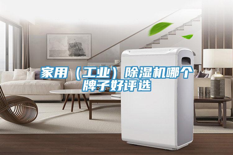 家用（工業(yè)）除濕機(jī)哪個牌子好評選