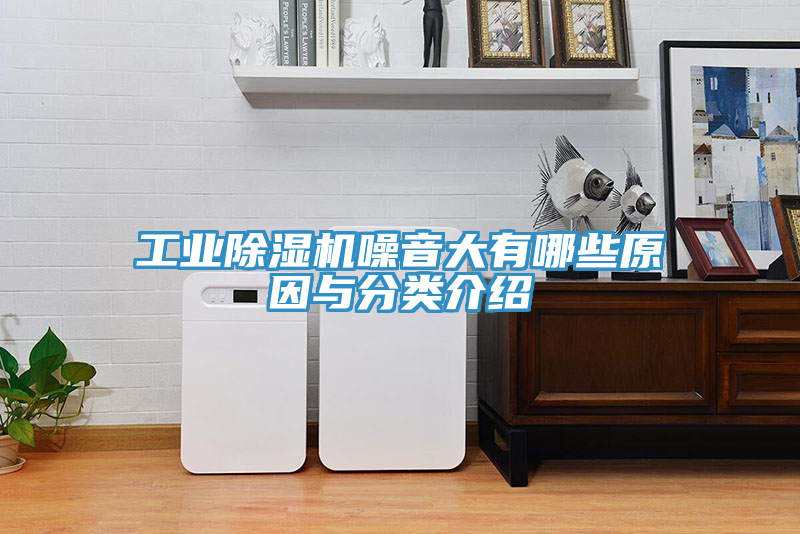 工業(yè)除濕機(jī)噪音大有哪些原因與分類(lèi)介紹