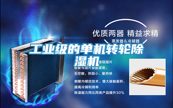 工業(yè)級(jí)的單機(jī)轉(zhuǎn)輪除濕機(jī)