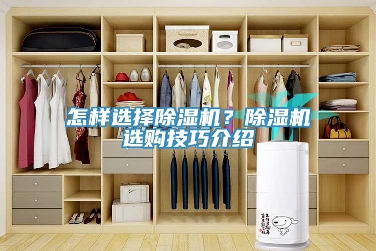 怎樣選擇除濕機(jī)？除濕機(jī)選購(gòu)技巧介紹