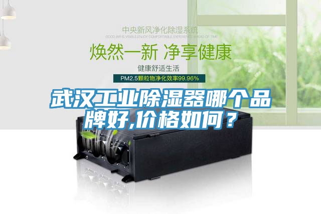 武漢工業(yè)除濕器哪個品牌好,價格如何？