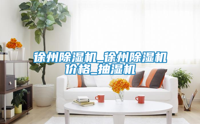 徐州除濕機(jī)_徐州除濕機(jī)價(jià)格_抽濕機(jī)