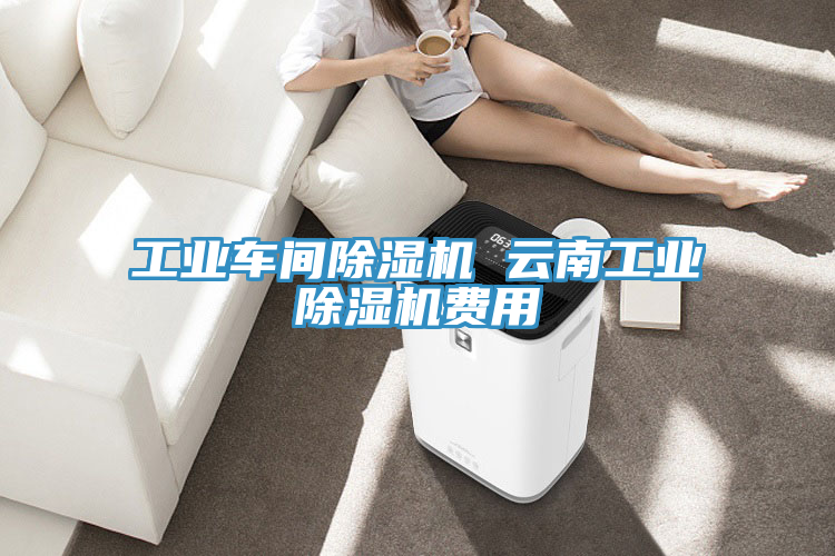 工業(yè)車間除濕機 云南工業(yè)除濕機費用