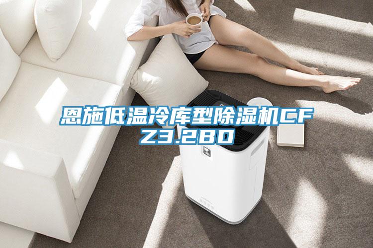恩施低溫冷庫(kù)型除濕機(jī)CFZ3.2BD