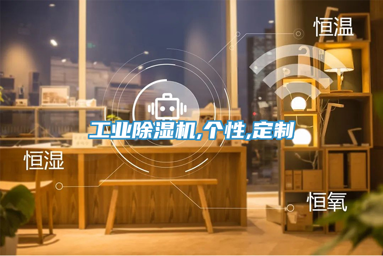工業(yè)除濕機(jī),個(gè)性,定制