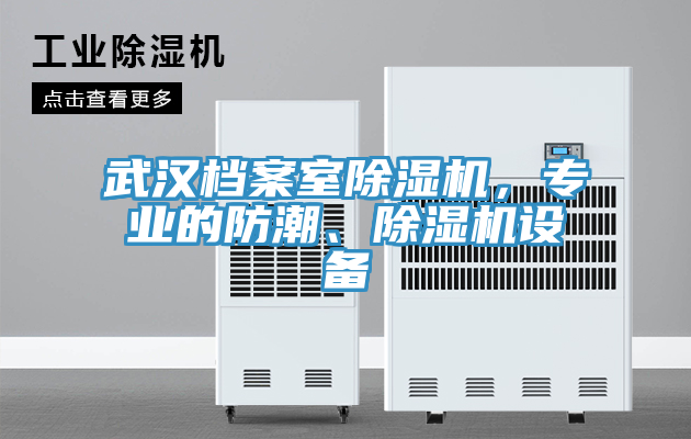 武漢檔案室除濕機，專業(yè)的防潮、除濕機設備