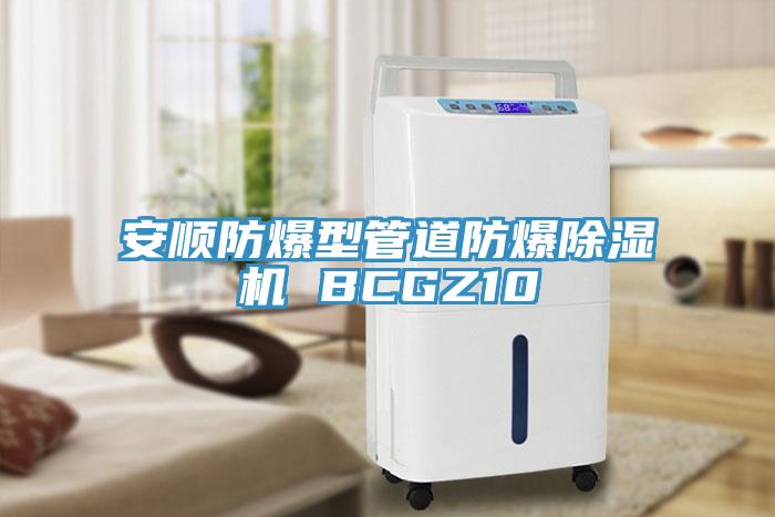 安順防爆型管道防爆除濕機(jī) BCGZ10
