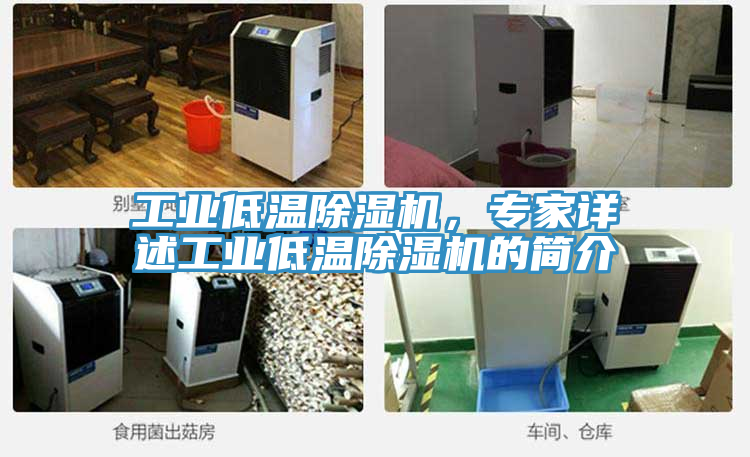 工業(yè)低溫除濕機，專家詳述工業(yè)低溫除濕機的簡介