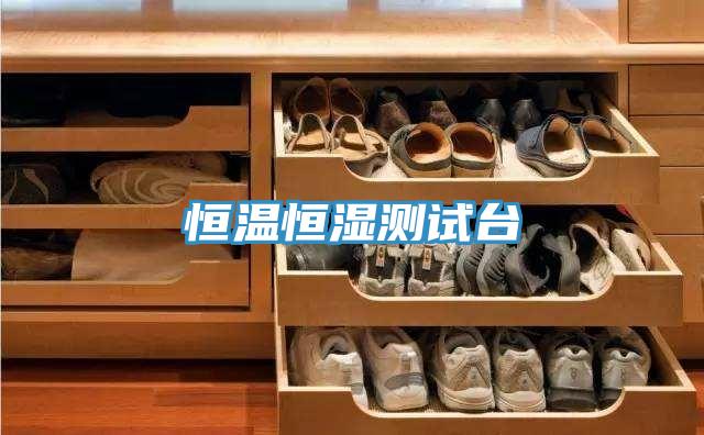 恒溫恒濕測(cè)試臺(tái)
