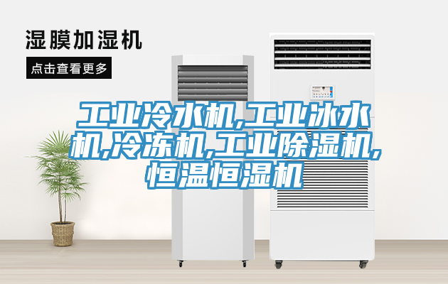 工業(yè)冷水機,工業(yè)冰水機,冷凍機,工業(yè)除濕機,恒溫恒濕機