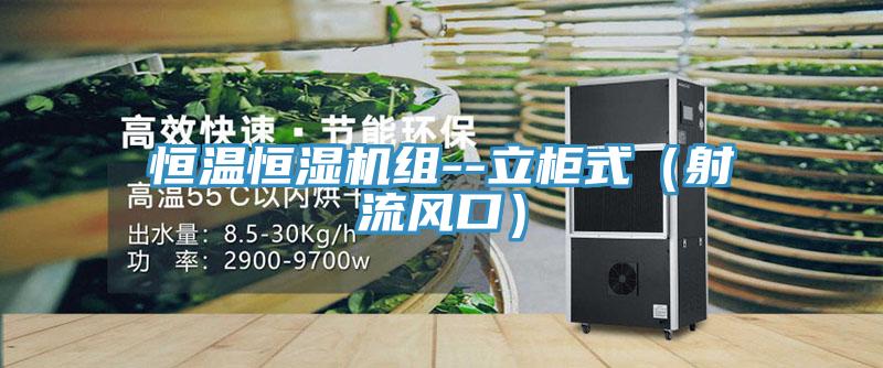 恒溫恒濕機(jī)組--立柜式（射流風(fēng)口）