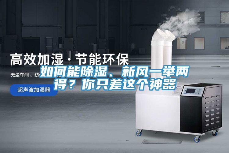 如何能除濕、新風(fēng)一舉兩得？你只差這個神器