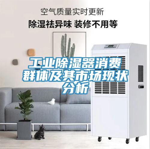工業(yè)除濕器消費群體及其市場現狀分析