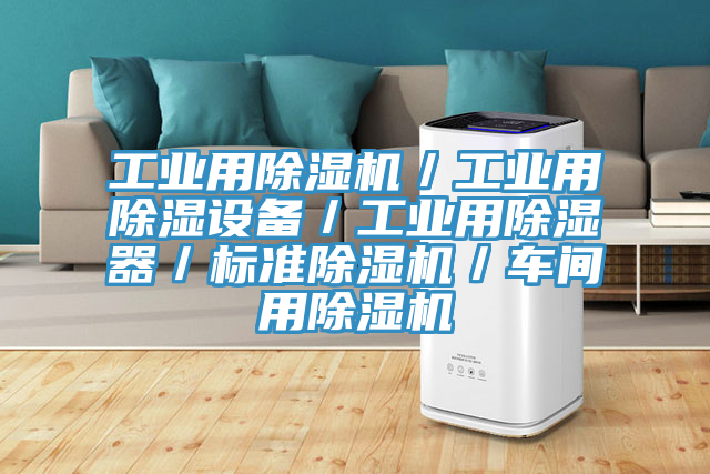 工業(yè)用除濕機／工業(yè)用除濕設(shè)備／工業(yè)用除濕器／標準除濕機／車間用除濕機