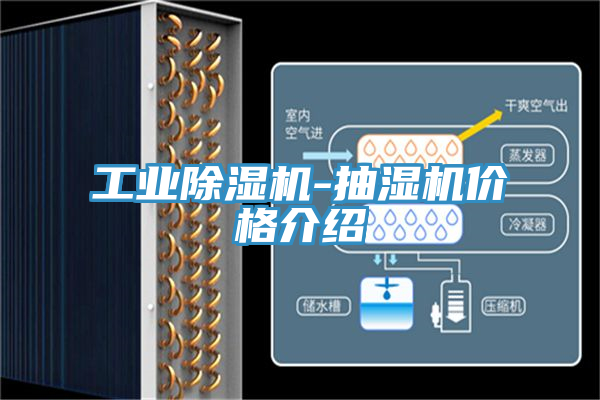 工業(yè)除濕機-抽濕機價格介紹
